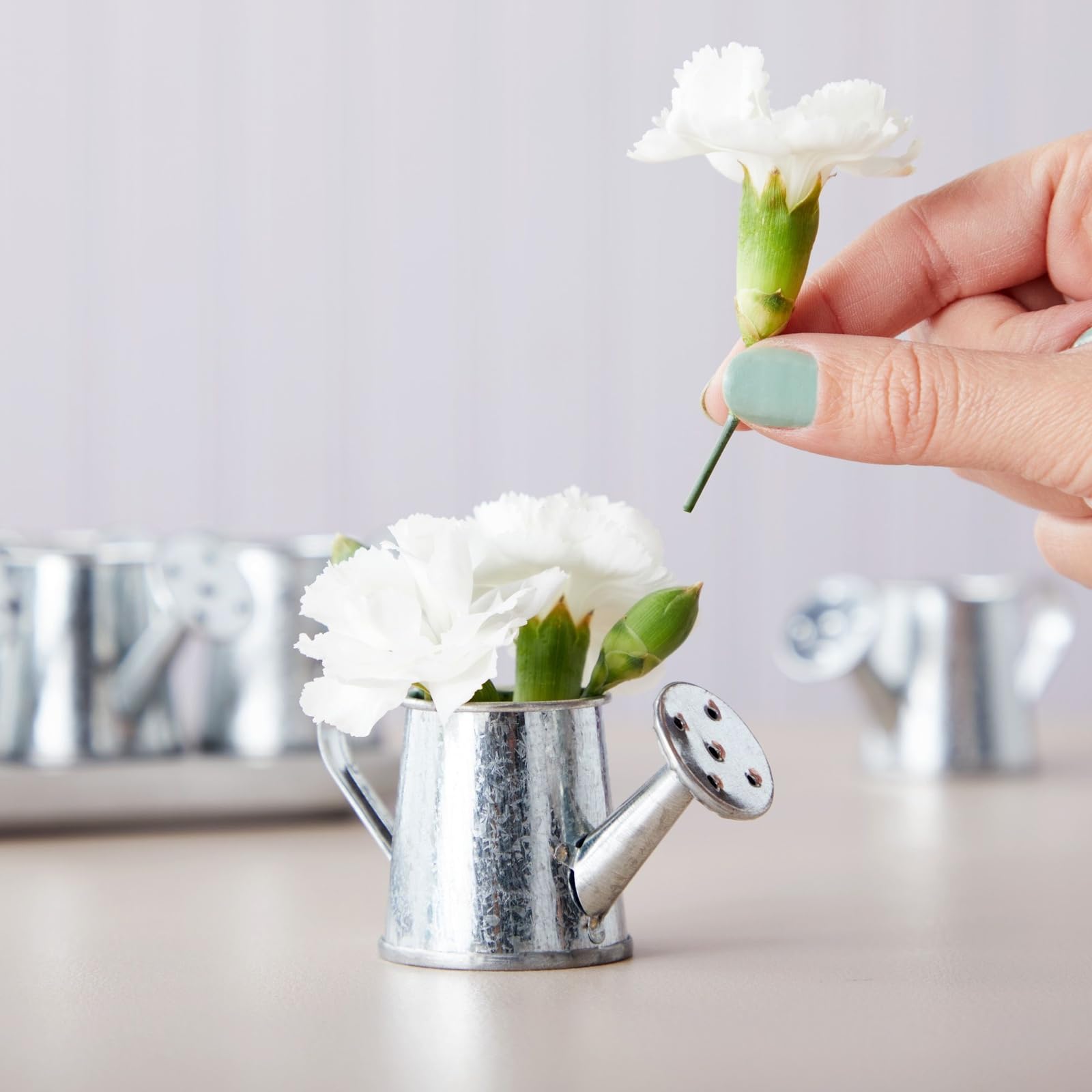 Mini Galvanized Watering Can - Get The Ideal Indoor Gardening Tool.
