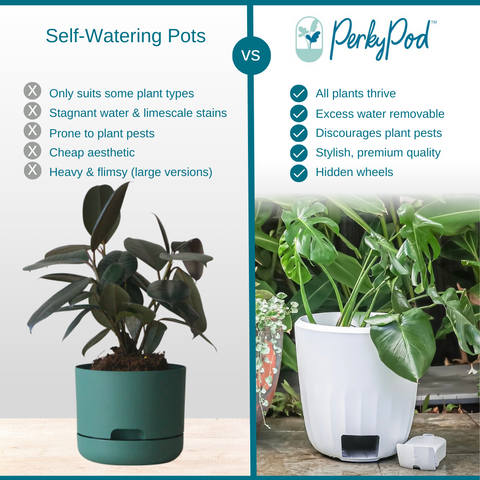Lightweight Pots: Are They Right for You? (Pros & Cons).