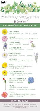 September Flower Planting Guide (What to Plant Right Now)