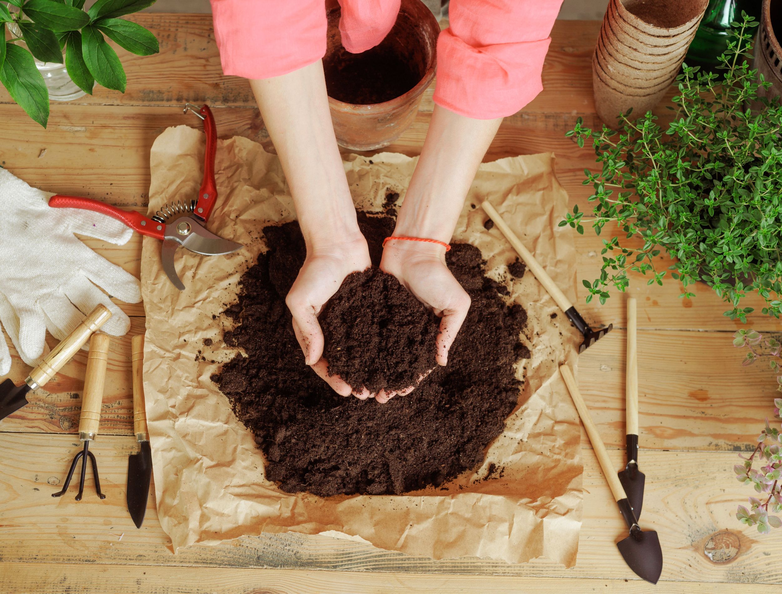 Using Garden Soil for Houseplants:(Here The Best Way For You)