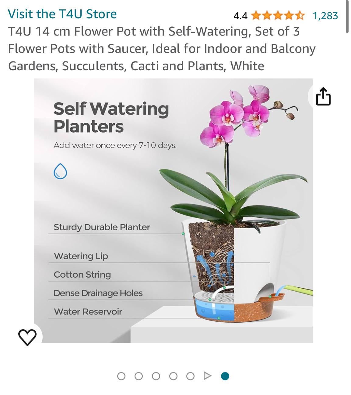 Self Watering Orchid Pots: Simple Way to Grow Orchids.