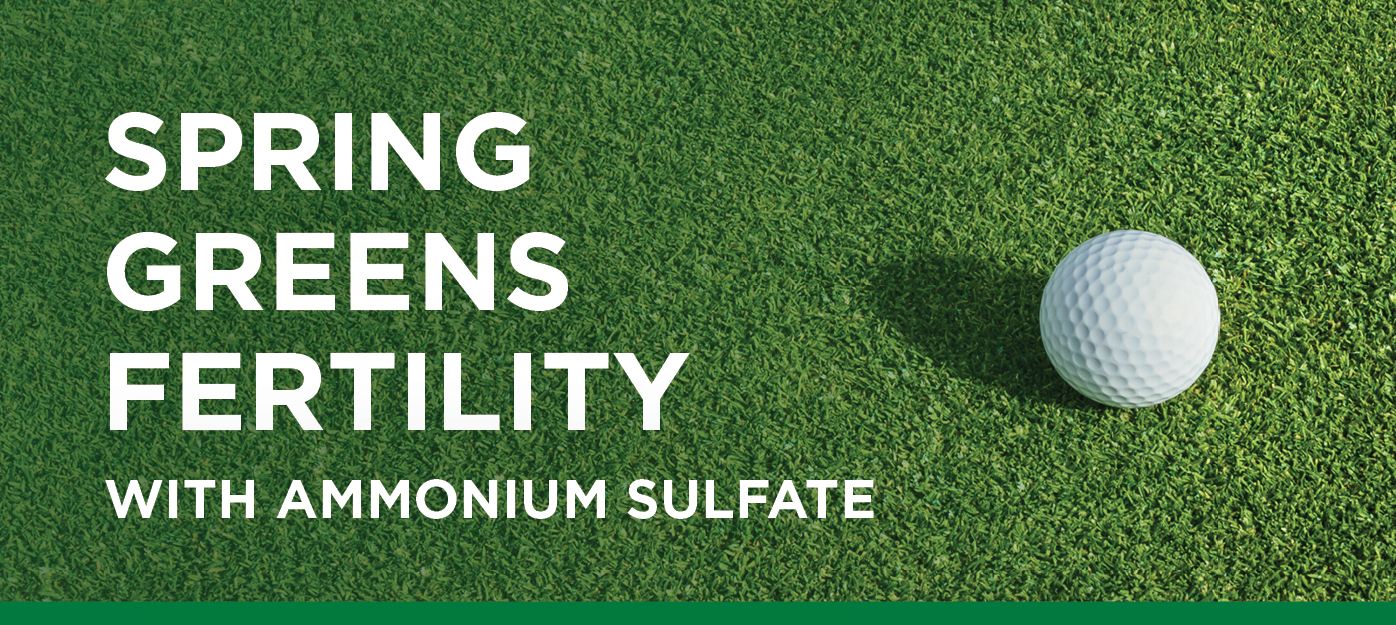 Get Andersons Golf Fertilizer, Get pro Level Green Grass.