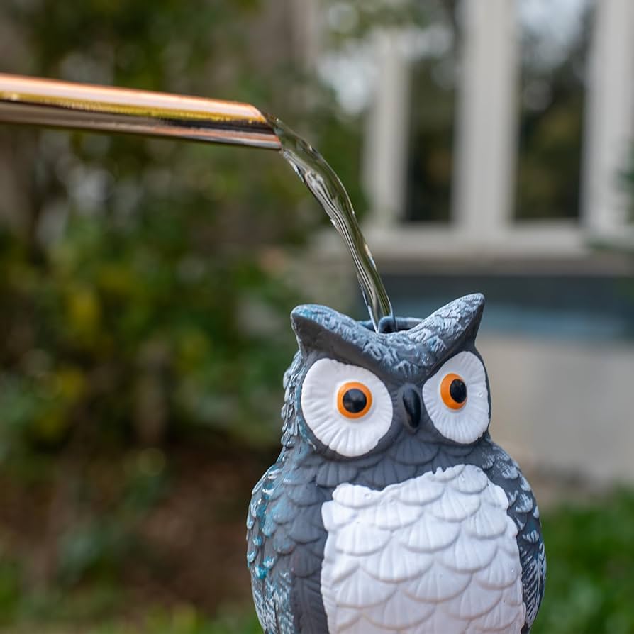 Best Owl Watering Can: Where to Buy&Top user reviews!