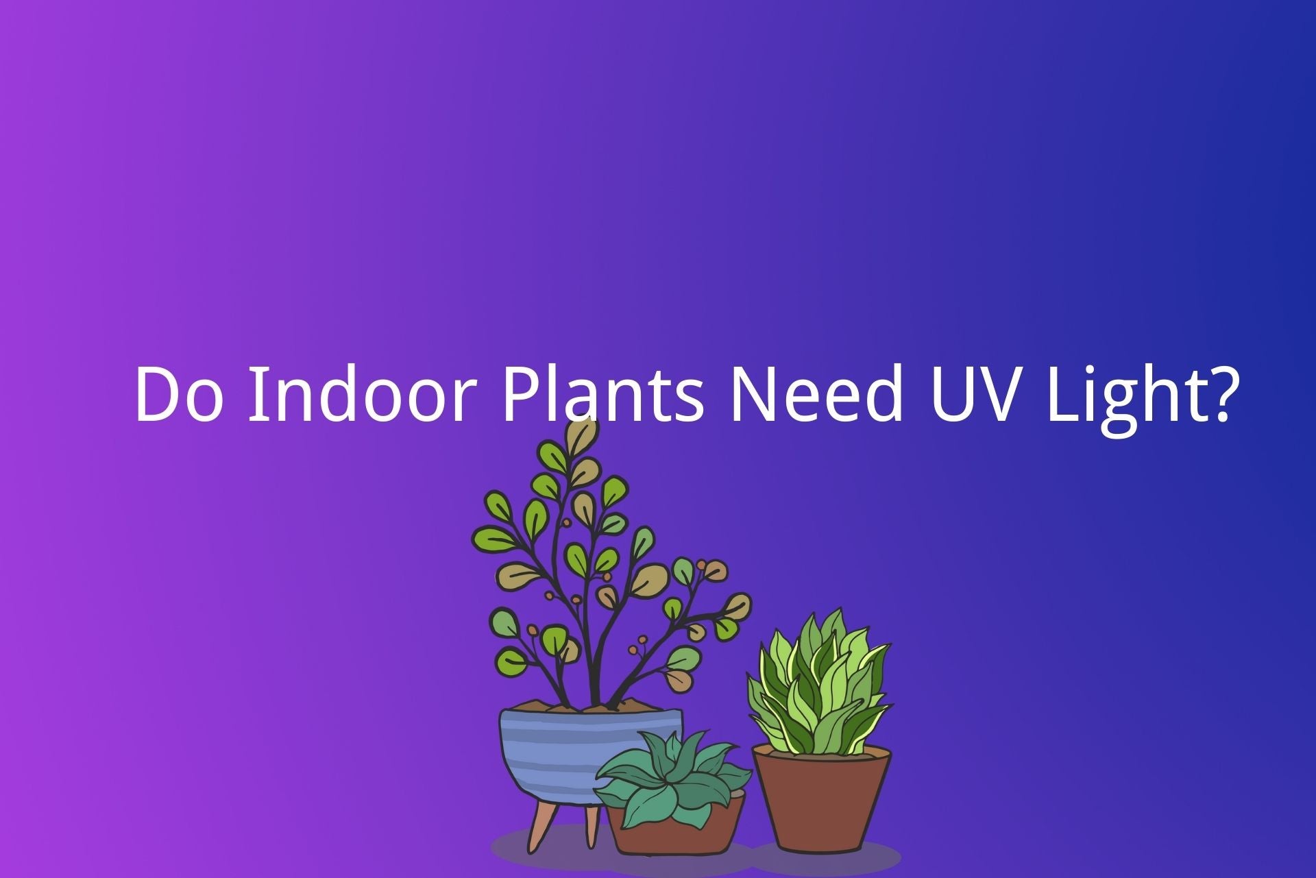 Do Plants Need UV Light or Just Light? (Simple Guide for Beginners)
