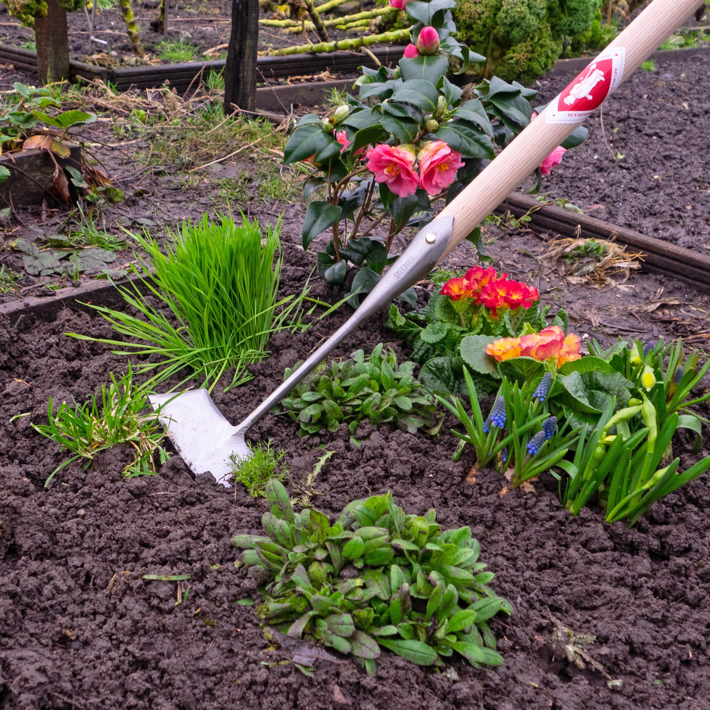 Why Choose Long Handled Gardening Tools,See the Benefits!