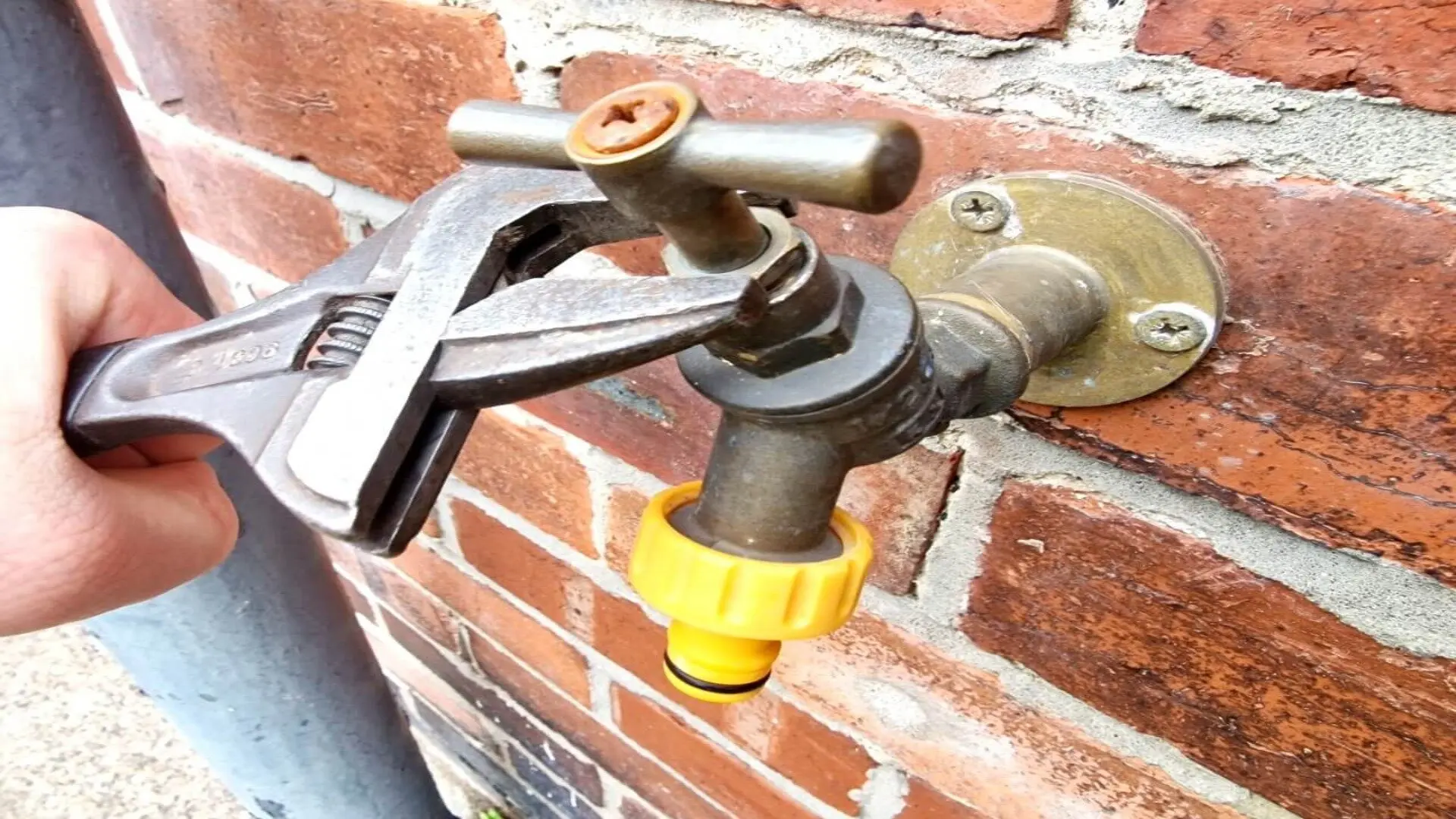Is your watering can spout leaking badly? Learn these quick and easy fixes to stop drips.