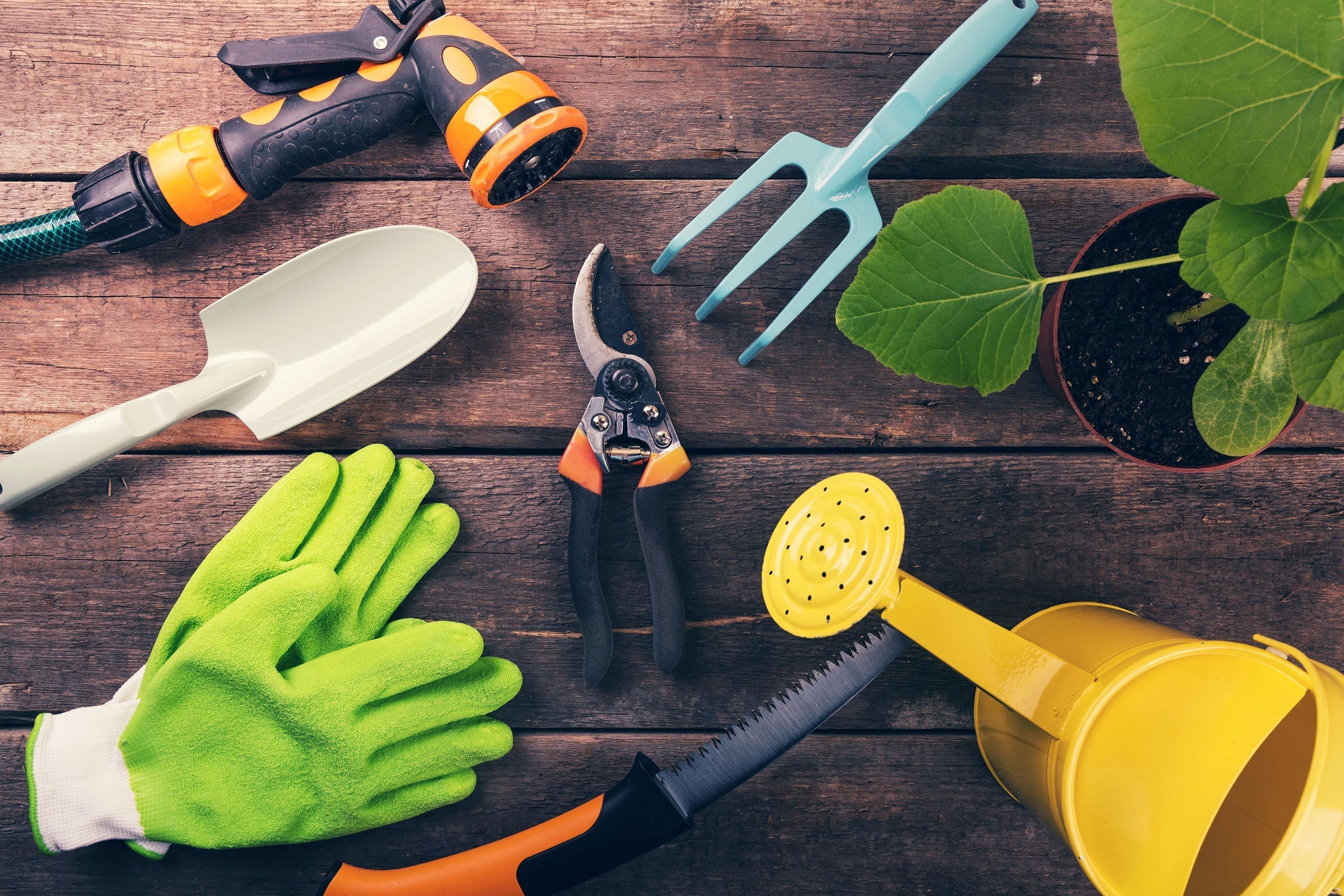 Which essential asian gardening tools should beginners get? Start your collection with these must-have items.