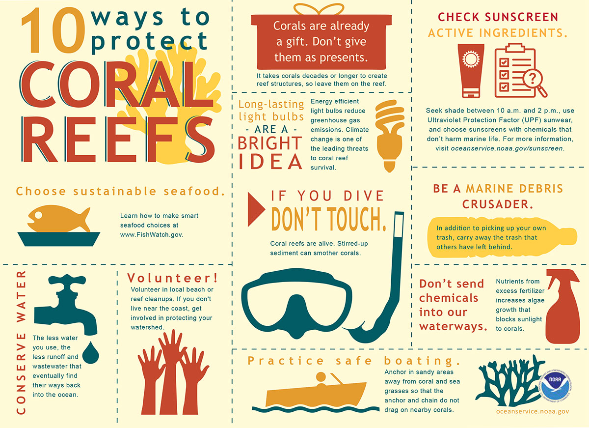 Avoid coral pesticide: Choose these eco-friendly options instead,easily.