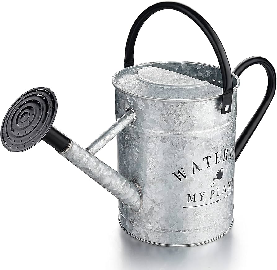 Buying a small galvanized watering can? Read this first!