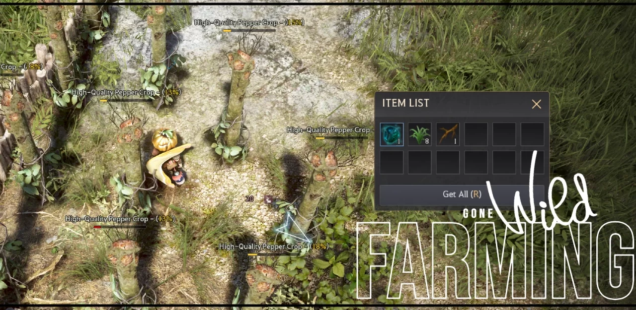 BDO Fertilizer Guide: Get the Best Yields Now