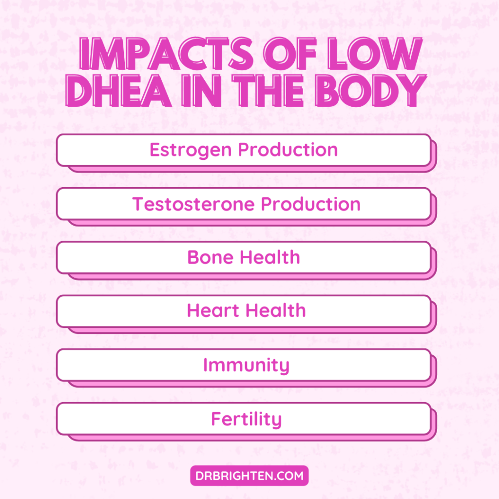 DHEA Dosage and Fertility: How Much Should I Take?