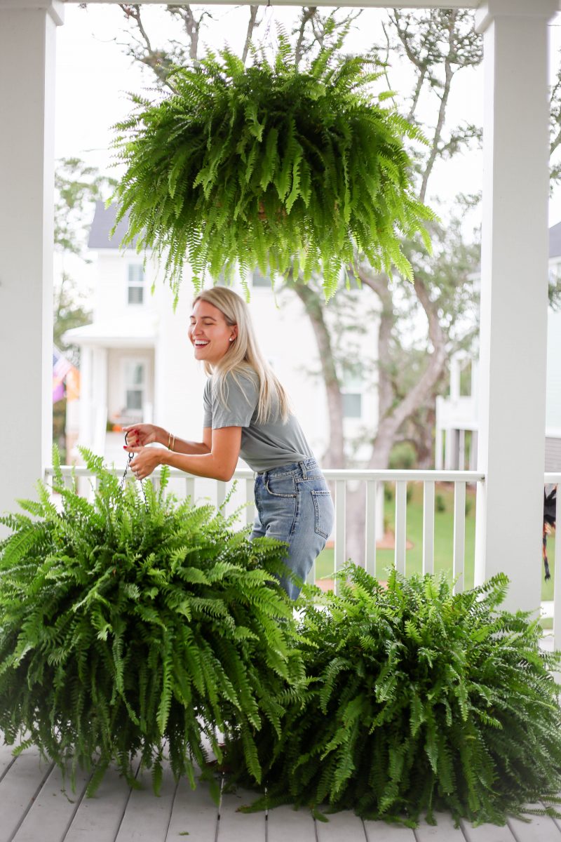 Struggling with outdoor ferns? Learn how to care for ferns in hanging baskets outside like a pro gardener.