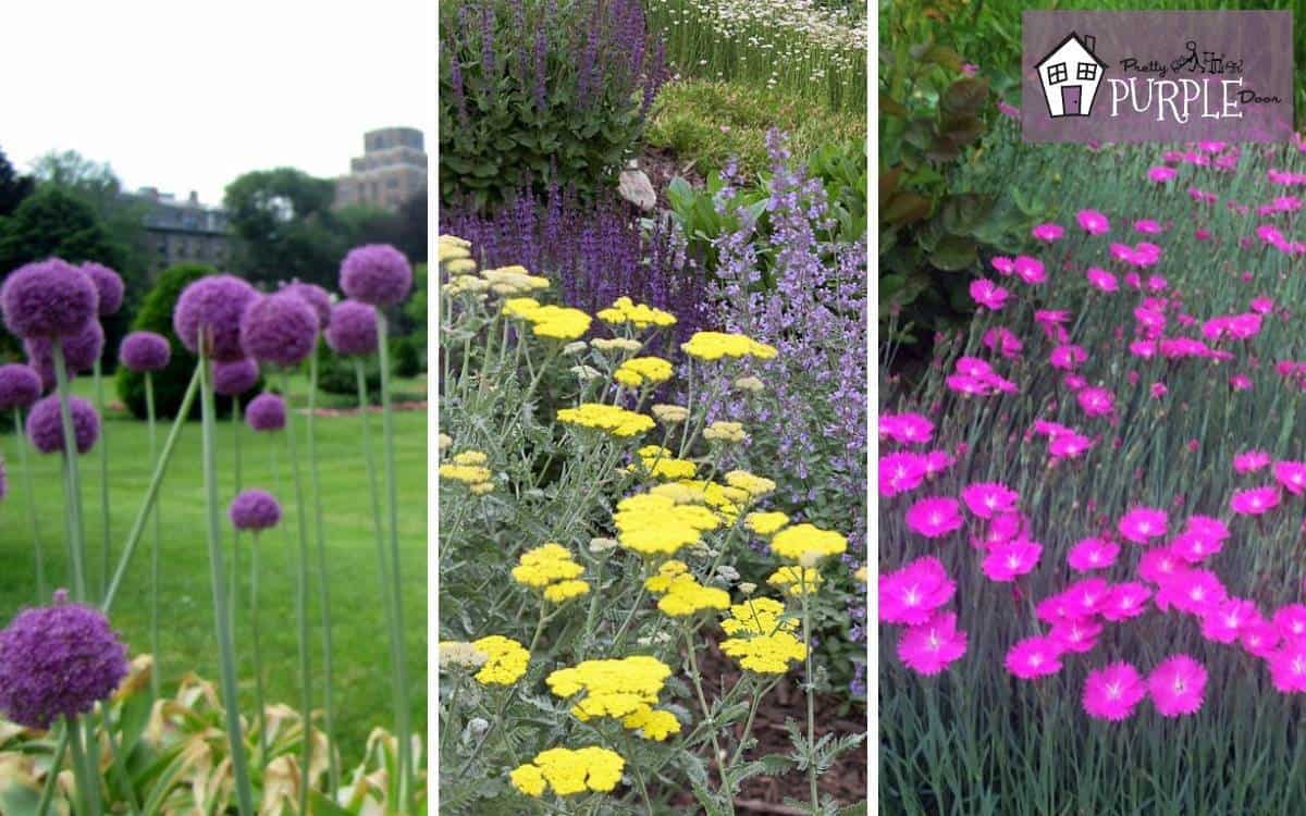 Want more blooms using flower and bloom fertilizer? Try these easy tips shared by garden experts.