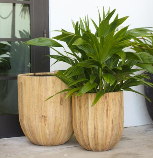 How to keep your ceramic plant stands looking new? Follow these basic care tips for longevity.