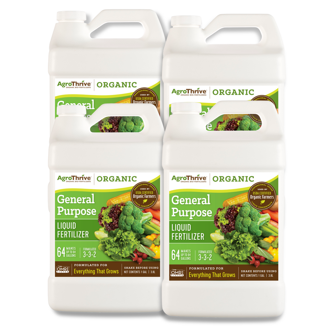 How to properly use agrothrive fruit and flower organic liquid fertilizer for bigger and brighter blooms?
