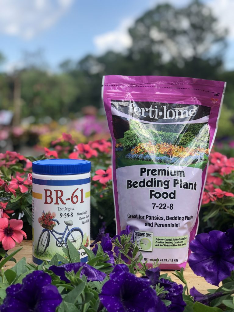 Annual Flower Fertilizer: See the Difference Today