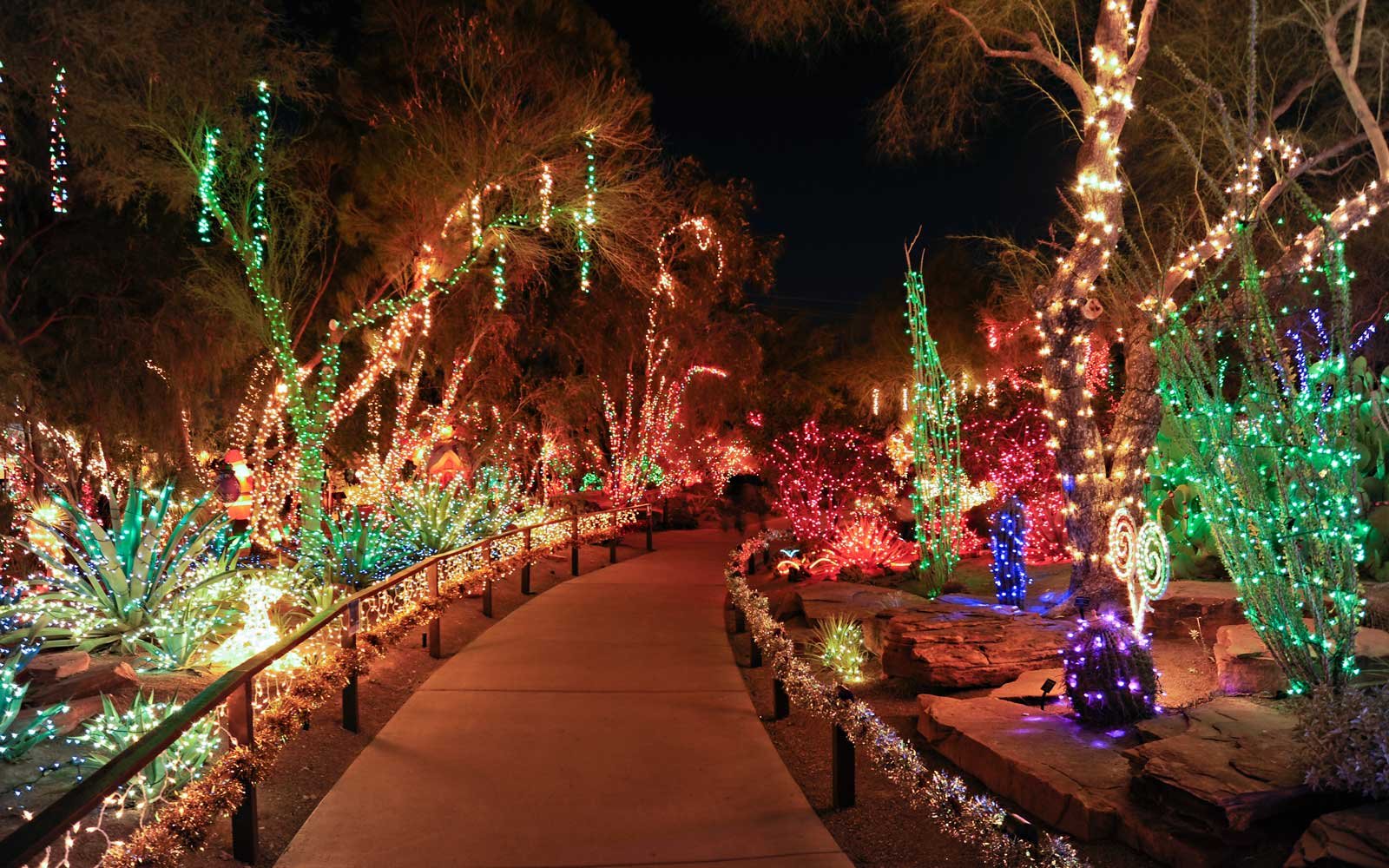 Want your christmas cactus lights to look amazing? Learn simple tricks for a truly stunning decoration.