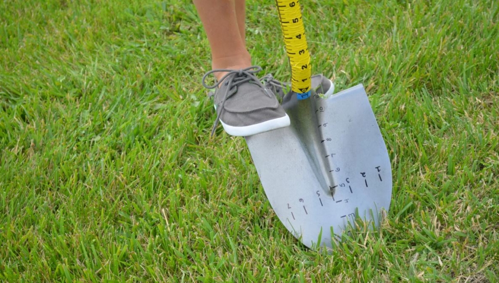 Whats the Measuring Shovel Net Worth? Lets find out!