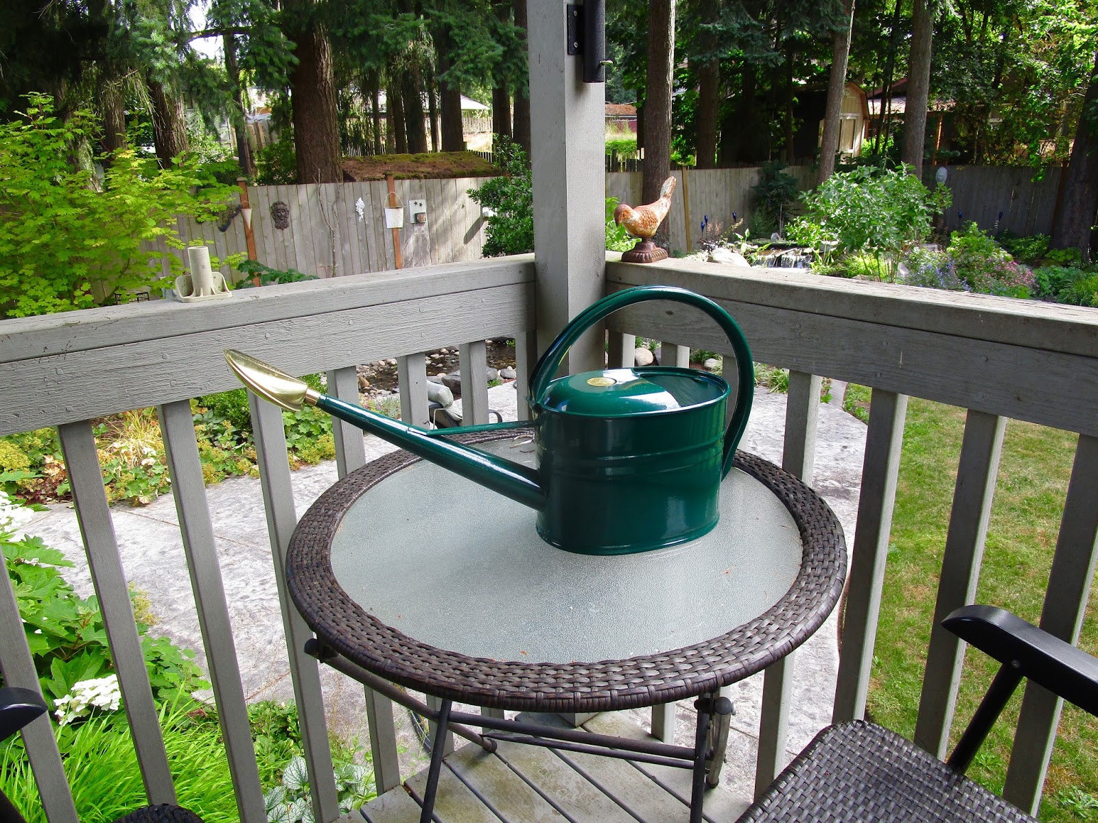Where to Buy a Monty Don Watering Can? Check Here!