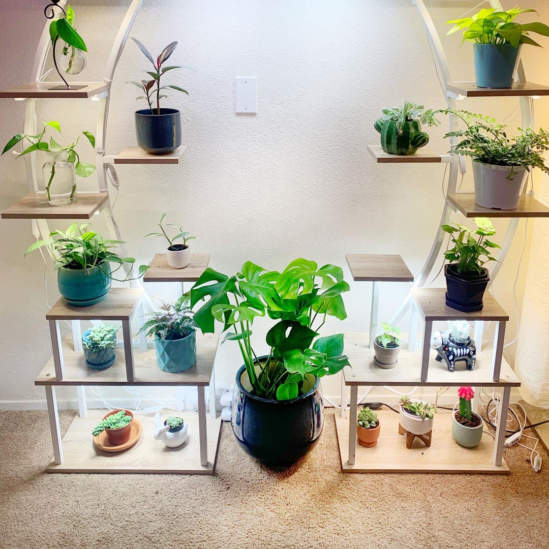 How do you use a plant stand light correctly? Learn expert tricks for healthier houseplants now.