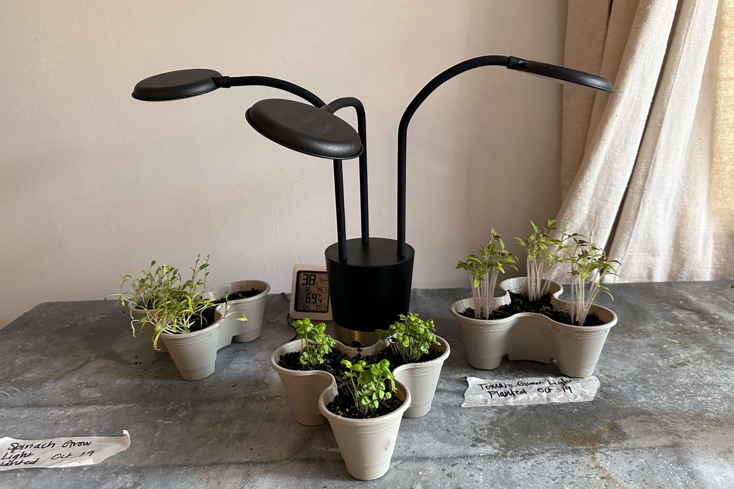 How do you choose a good plant grow light with stand? (Follow these easy steps for happy indoor plants)
