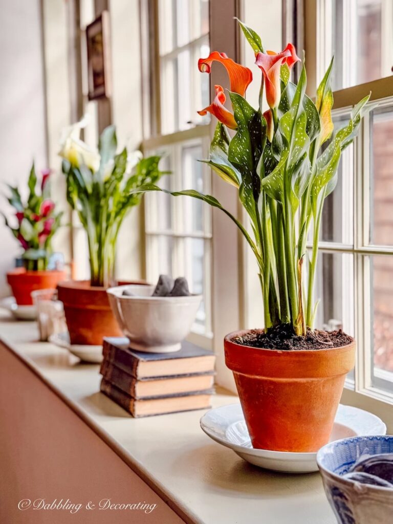 Decorate with terracotta pot on stand: Ideas & tips