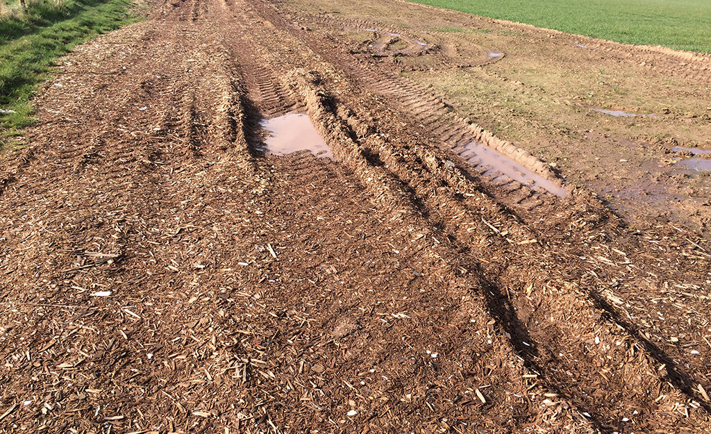 Sandy Soil: Understanding How Well Does It Drain & Solutions