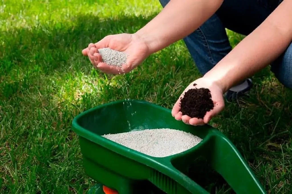 Choosing the best fertilizer for sod explained: Avoid these simple mistakes for a healthy new lawn.