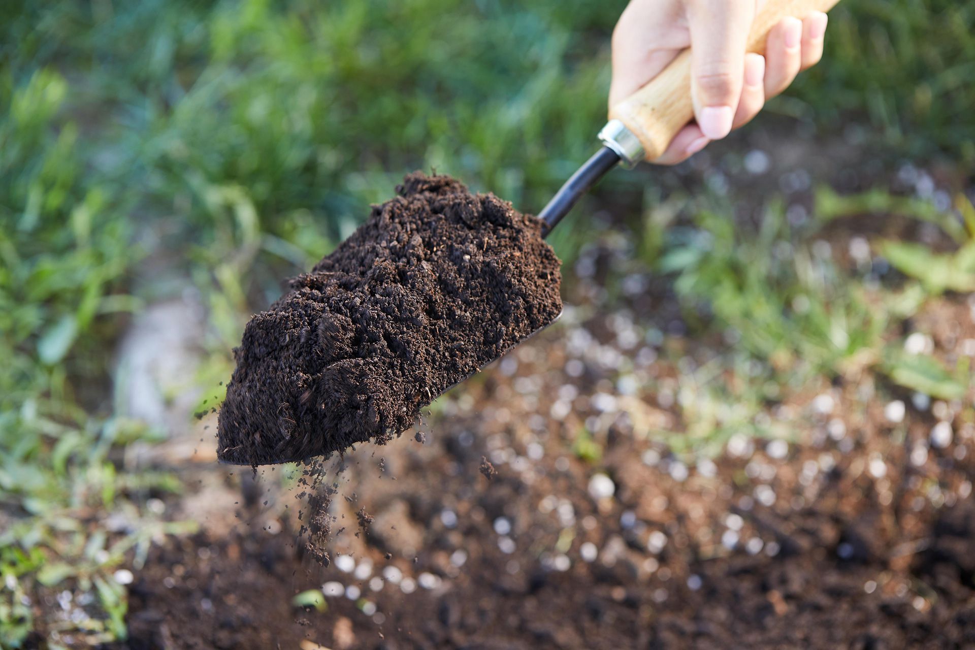 Sandy Soil: Understanding How Well Does It Drain & Solutions