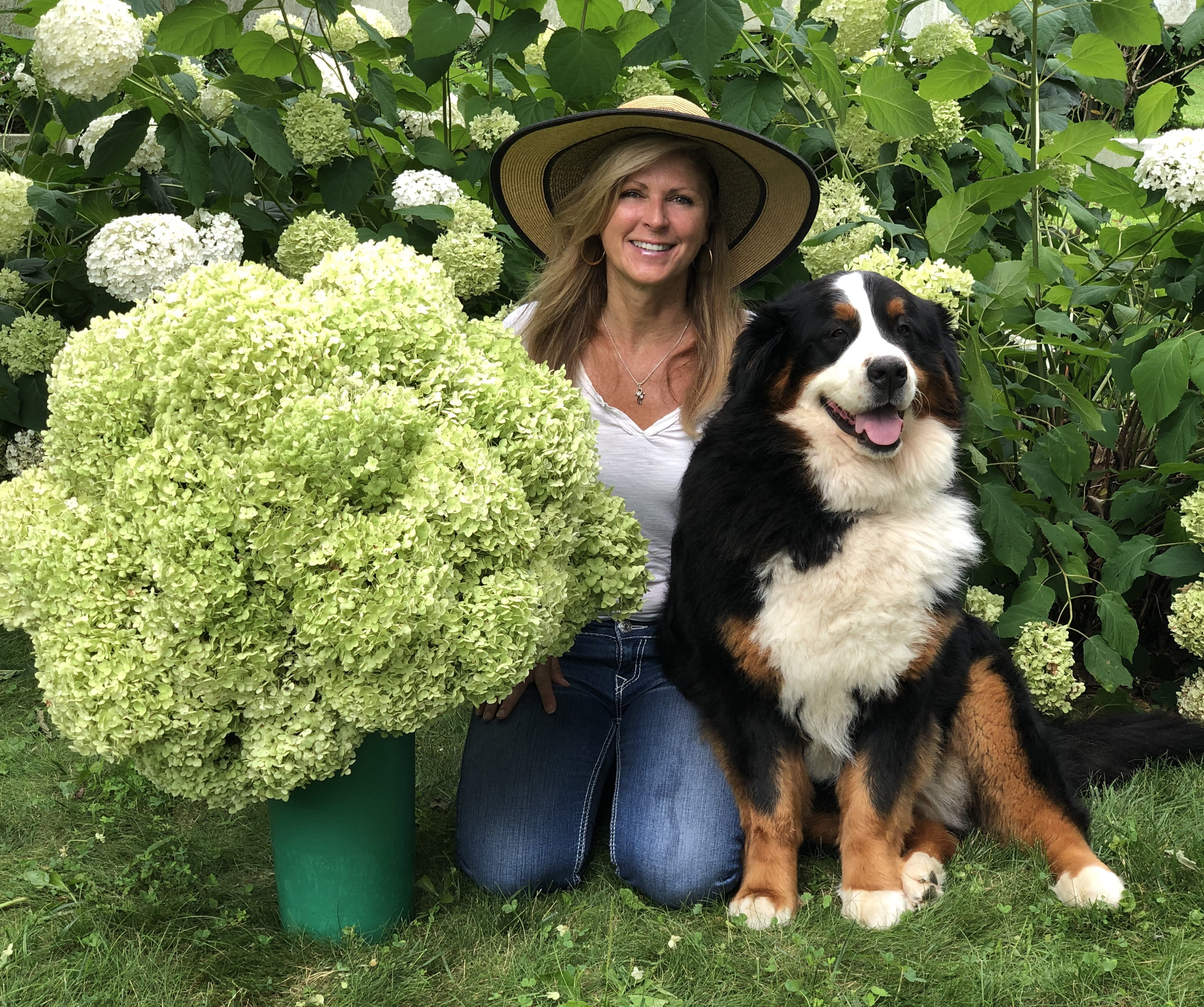 Fall is Best for Pruning Annabelle Hydrangeas? Find Out