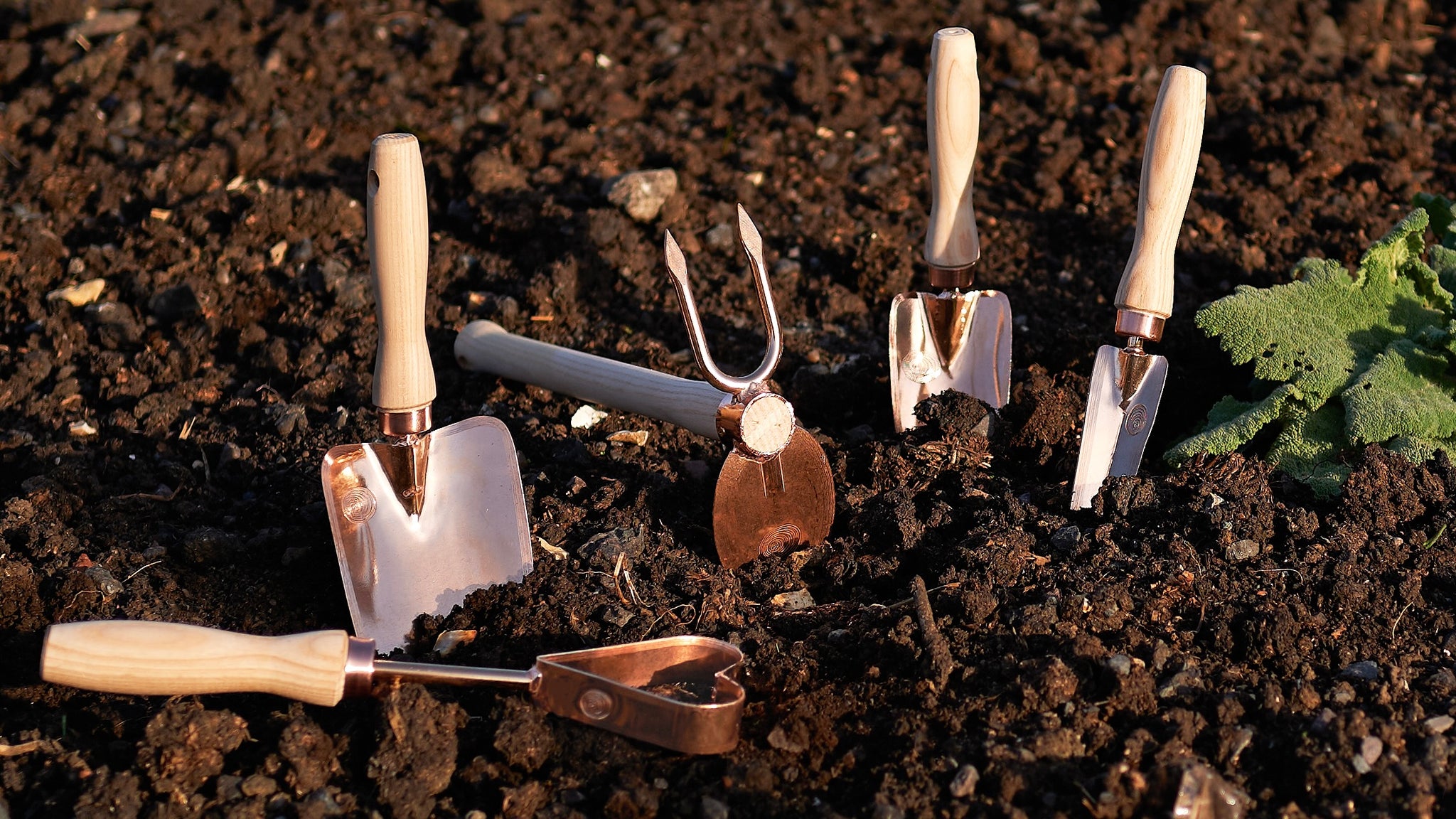 Why choose copper gardening tools? Find out now