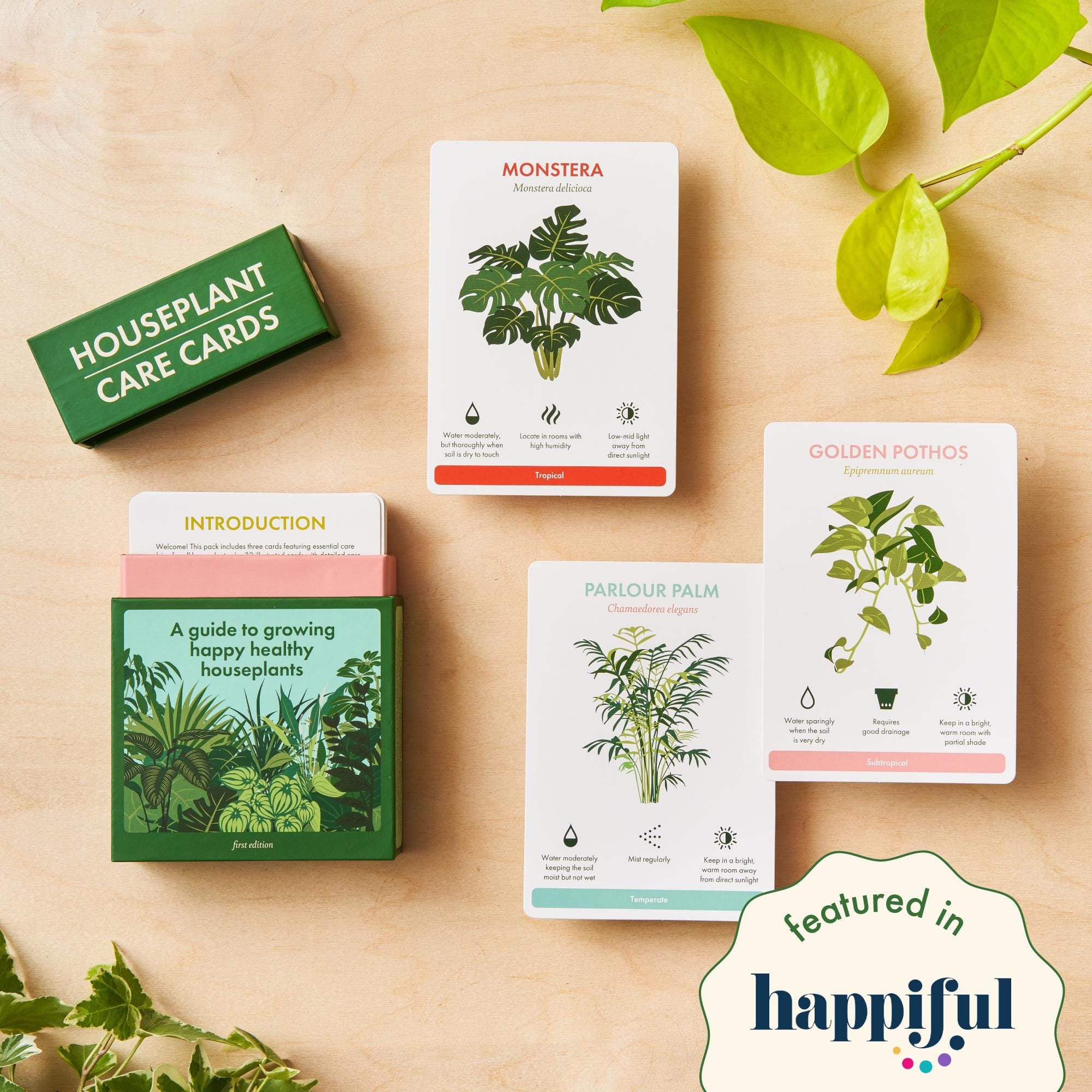 Indoor Plant Care Kit: Your Easy Guide to Happy Plants