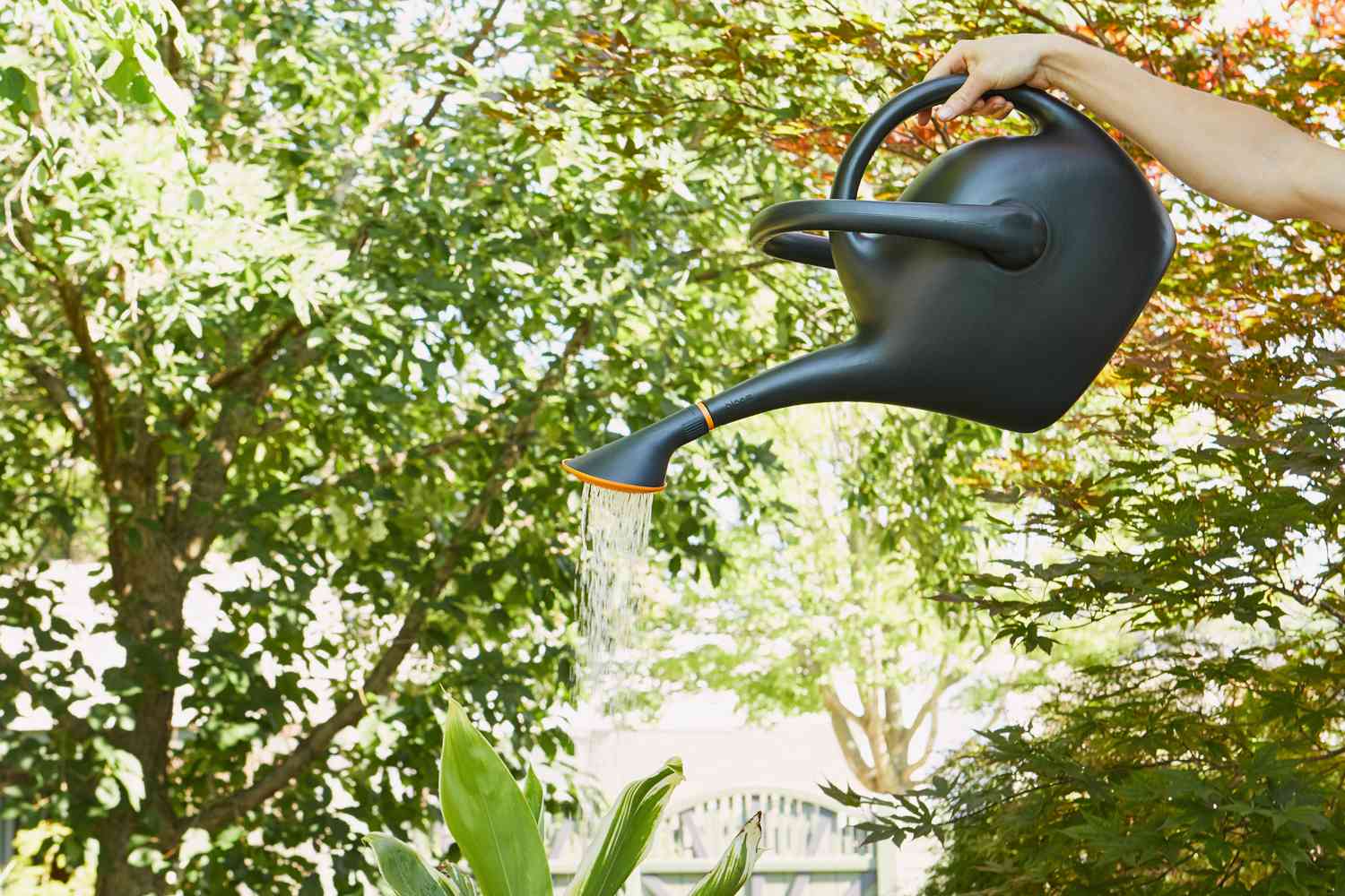 What are the best artistic watering can materials? Learn about metal, ceramic, and plastic options.