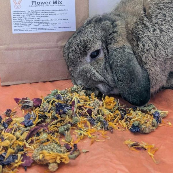 Need safe dried flowers for rabbits? Check our complete guide to the best non-toxic floral snacks.