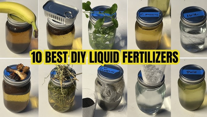 How to make your own 5 1 1 fertilizer at home?