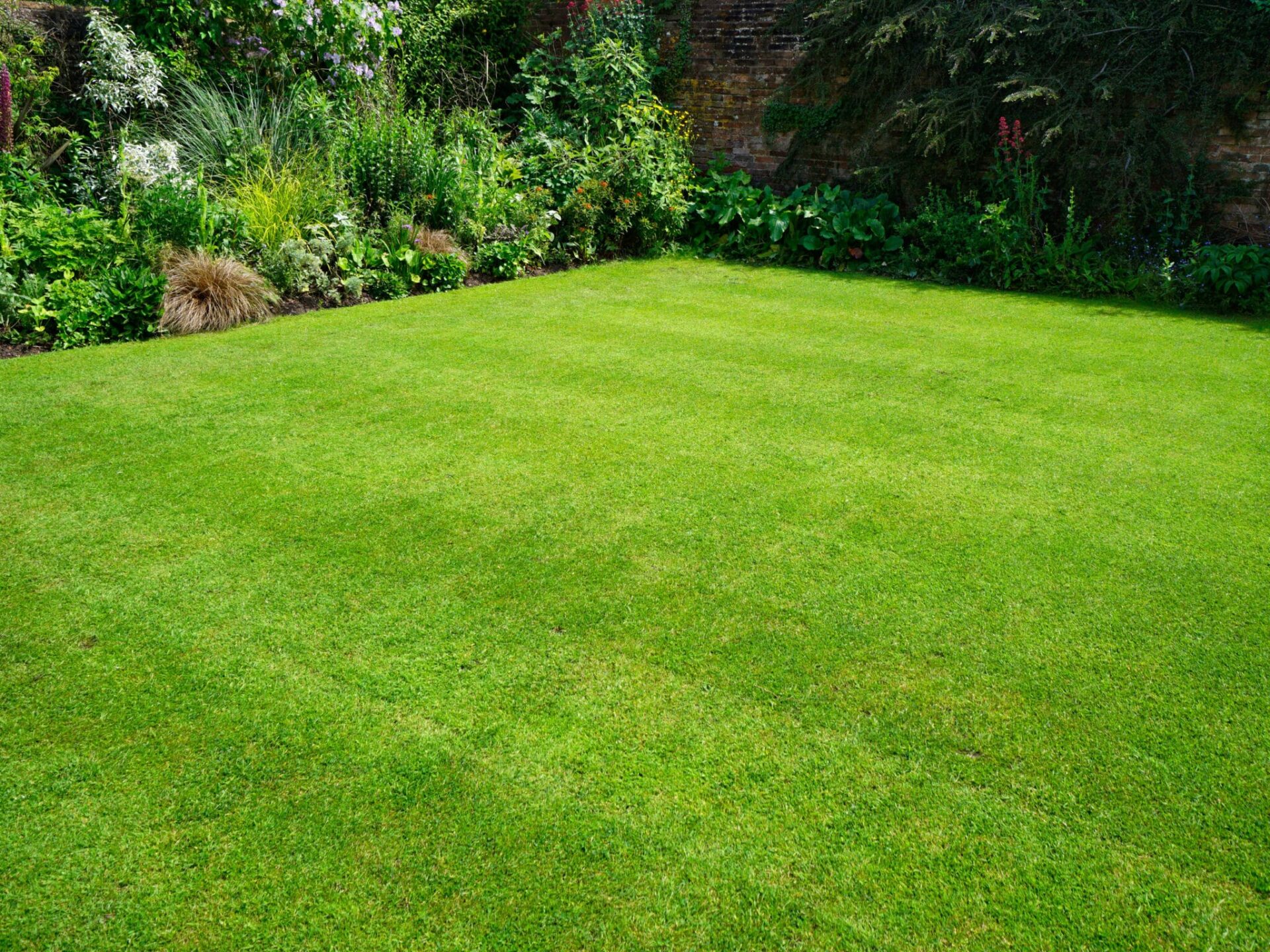 Are Inchs Natural Lawn Care reviews positive? Find out what real customers think about their service.