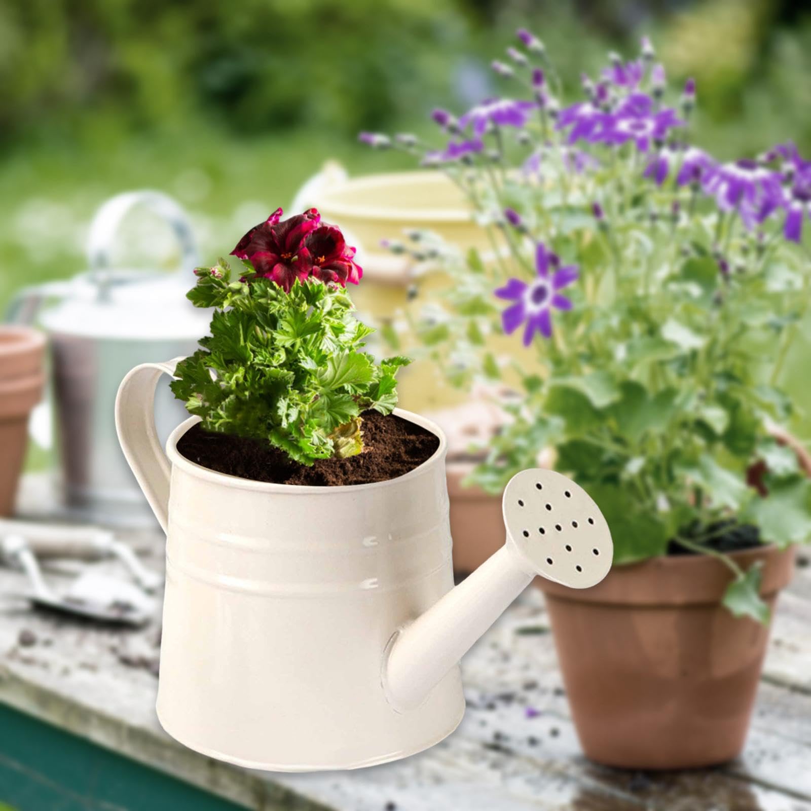 Where can I buy a cheap rustic watering can? (Check these top online stores for deals)