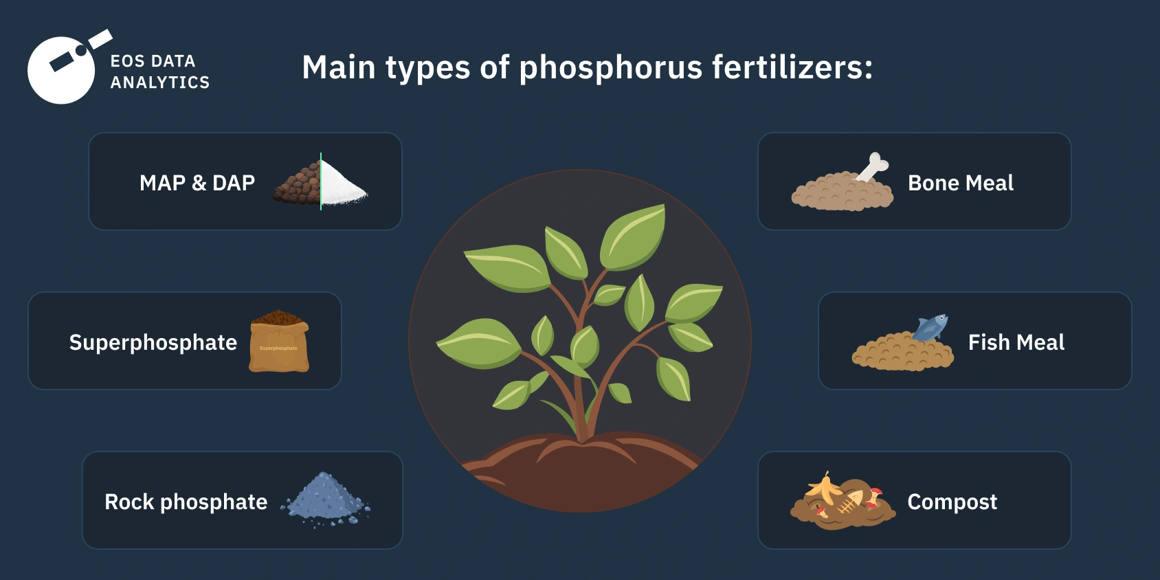 What makes fertilizer 29-0-10 different? Explore its high nitrogen and zero phosphate advantages today.