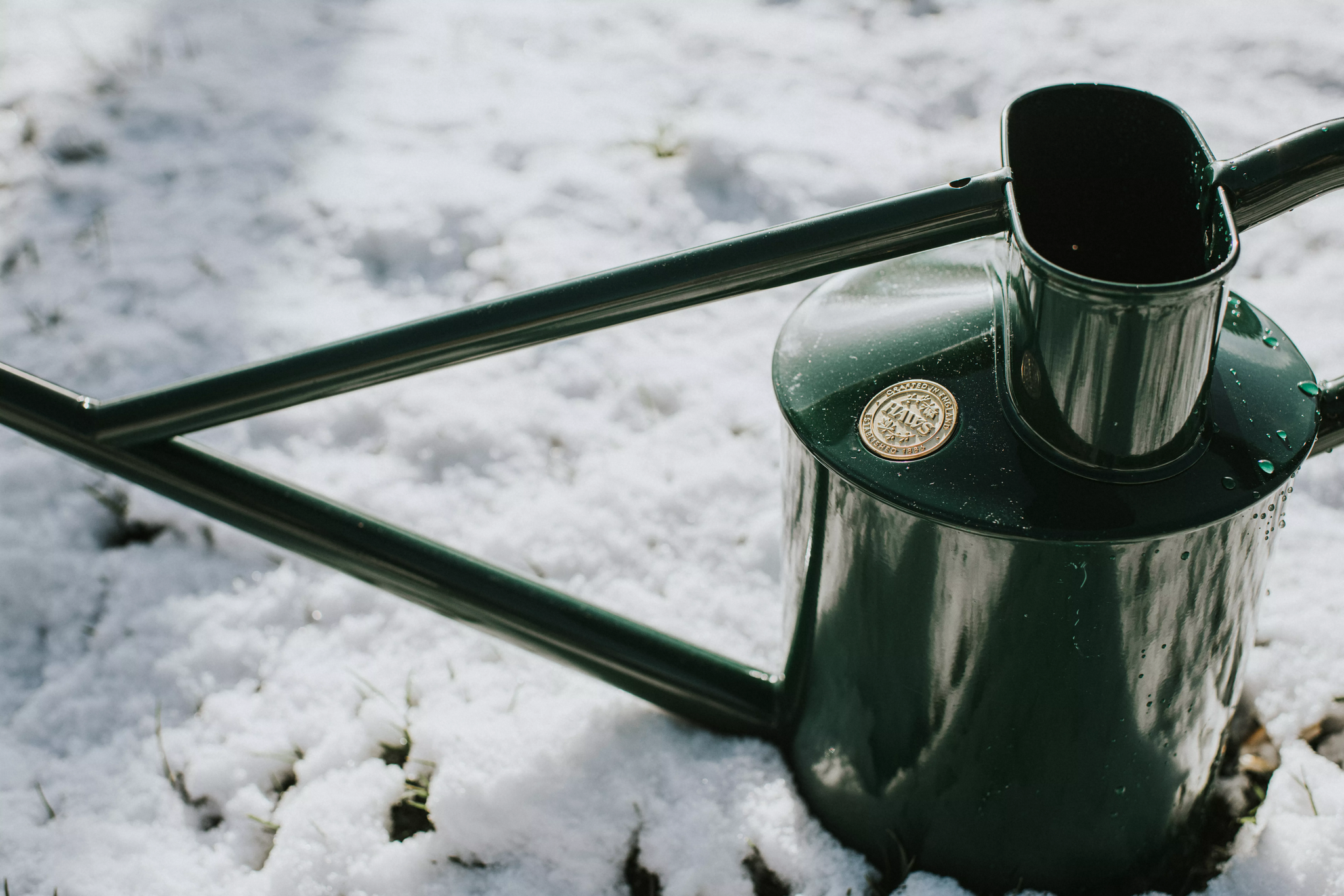 How do I maintain my Haws watering cans? Follow these simple steps for long lasting use and shine.