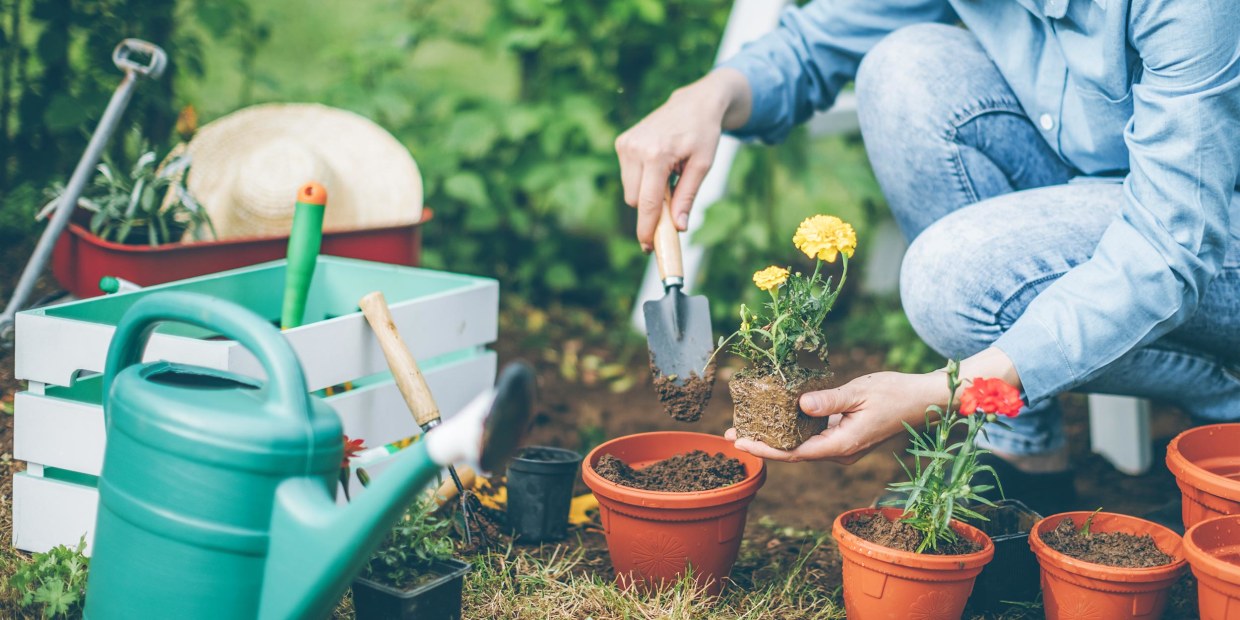 Where can you find truly unique gardening tools? Explore these amazing finds for easier planting and care.