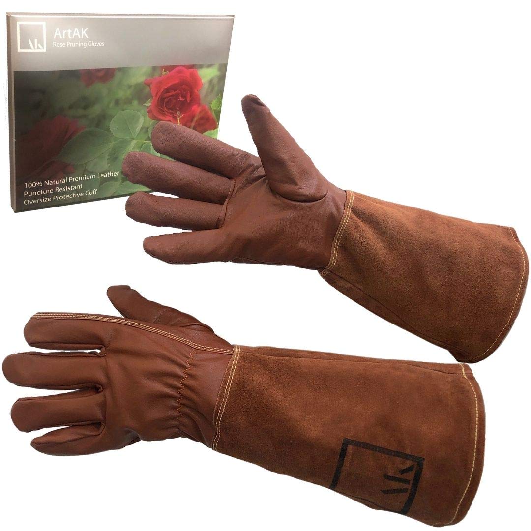 Rose Bush Gloves: Choose the Right Gardening Gloves