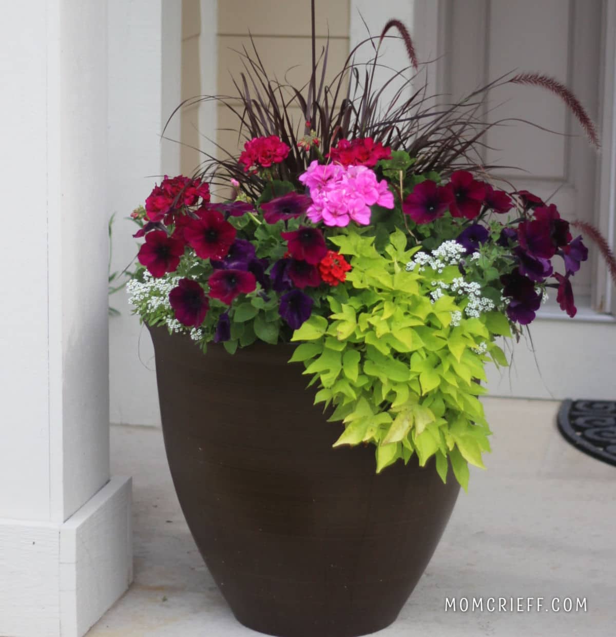Caring for your and tradition flowerpot: Easy tips to keep it looking beautiful longer.