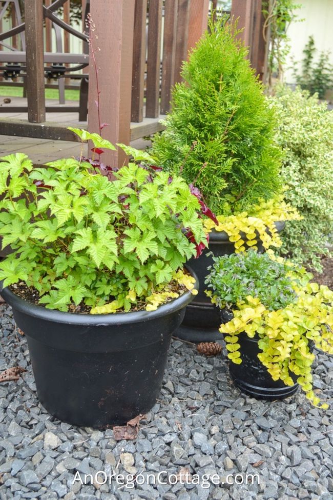 Caring for your and tradition flowerpot: Easy tips to keep it looking beautiful longer.