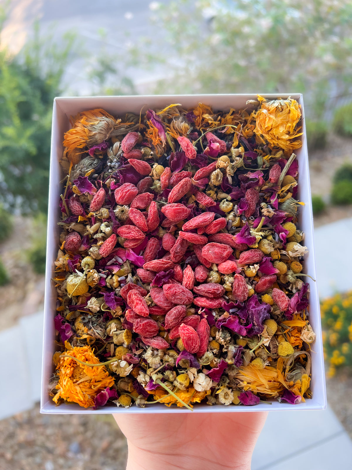 Need safe dried flowers for rabbits? Check our complete guide to the best non-toxic floral snacks.