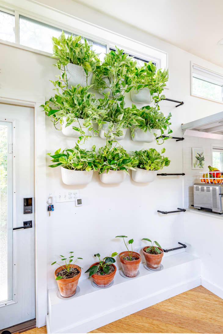How to decorate with fancy plant stands? Easy ways to elevate your indoor plant style!