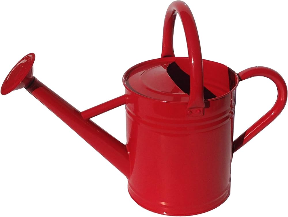 Need a red watering can? Find the best choices for your plants now.