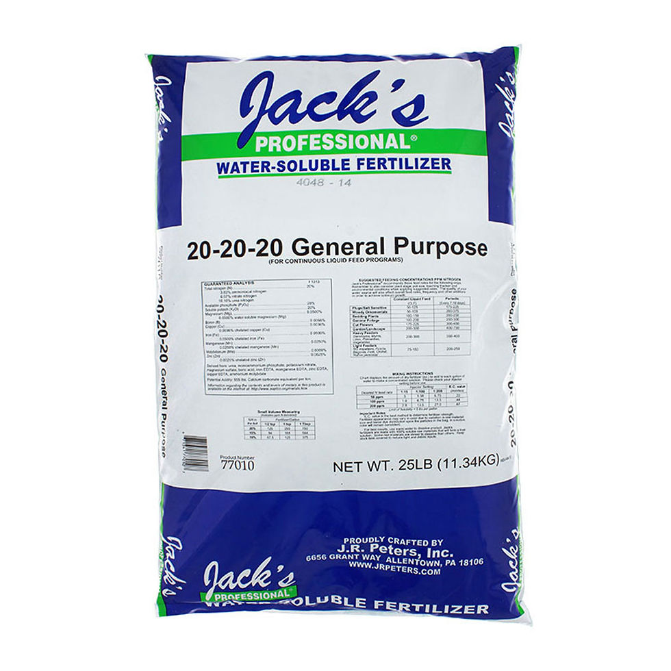 Jacks Fertilizer 20 20 20: How to Use it Right?