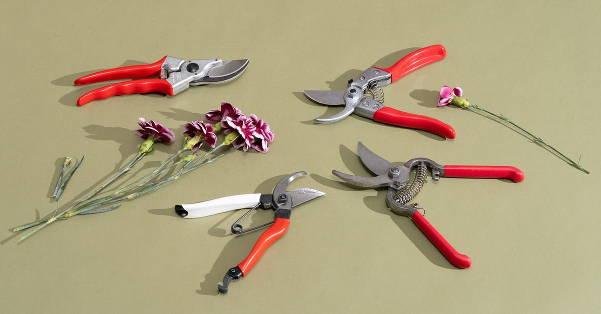 Best Big Scissors for Gardening: Top Picks & Reviews