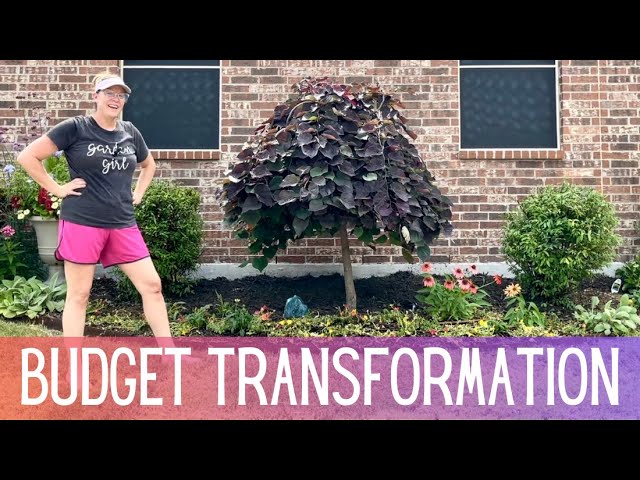 Thinking about pruning Ruby Falls Redbud soon? (Here are the secrets to doing it right!)