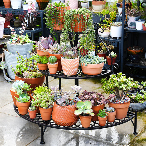 Why get an adjustable height plant stand? (Make your indoor garden super flexible and pretty).